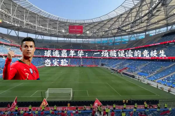 球迷嘉年华:一场被误读的竞技生态实验